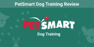 Read more about the article Обзор дрессировки собак PetSmart: затраты, эффективность и часто задаваемые вопросы (2023 г.)