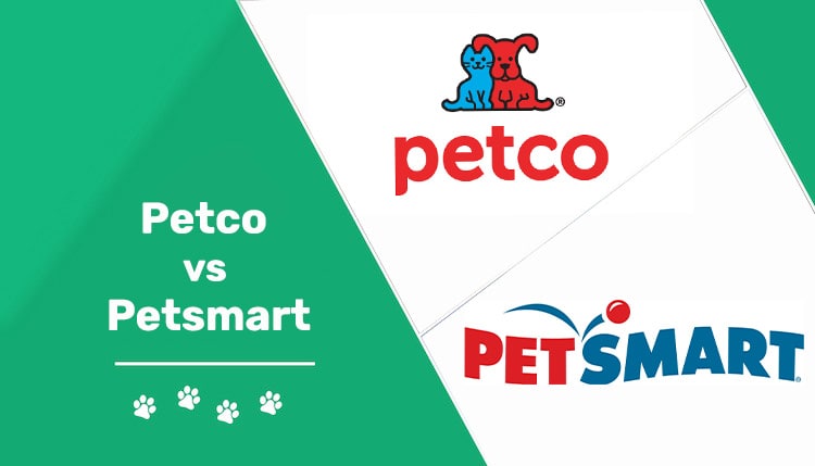 Read more about the article Petco vs Petsmart 2023: сравнение цен, обучение, уход и многое другое