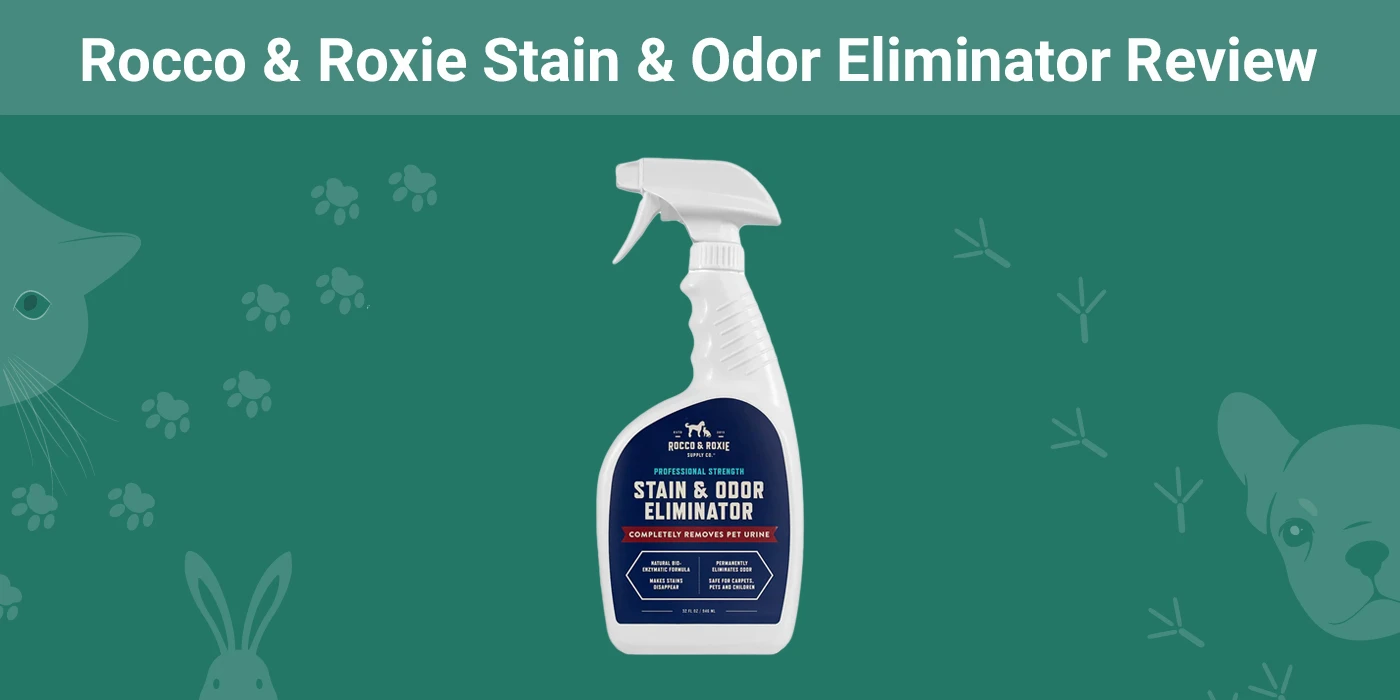 You are currently viewing Rocco & Roxie Stain & Odor Eliminator Review: наш окончательный вердикт в 2023 году