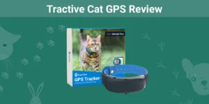 Read more about the article Обзор Tractive Cat GPS 2023: мнение нашего эксперта