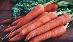 Read more about the article Могут ли черепахи есть морковь?  Что тебе нужно знать!