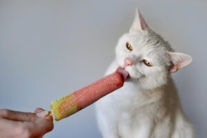 Read more about the article Могут ли кошки ощущать сладость?  Вот что говорит наука