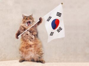 Read more about the article 130 корейских имен кошек: уникальные варианты для вашей кошки (со значениями)