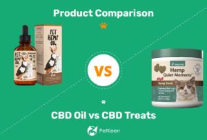 Read more about the article CBD для кошек: масло CBD против лакомств CBD, что лучше?