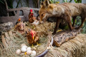 Read more about the article 13 куриных хищников и как защитить от них свое стадо