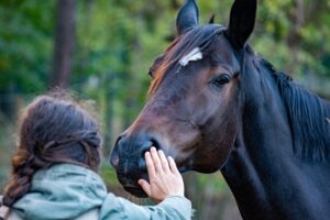 Read more about the article 9 трюков, которым вы можете научить свою лошадь — весело и легко (с видео)