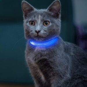 Read more about the article 5 лучших светодиодных и светящихся ошейников для кошек в 2023 году — обзоры и лучший выбор