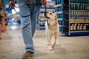 Read more about the article Разрешены ли собаки и другие домашние животные в PetSmart?  (Политика в отношении домашних животных в магазине)