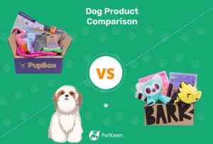 Read more about the article Pupbox против BarkBox: сравнение 2023 года