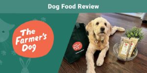 Read more about the article The Farmer’s Dog Food Review 2023: плюсы, минусы и окончательный вердикт