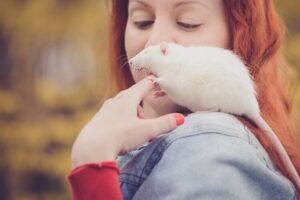 Read more about the article Как узнать, счастлива ли ваша домашняя крыса (11 признаков, на которые стоит обратить внимание)