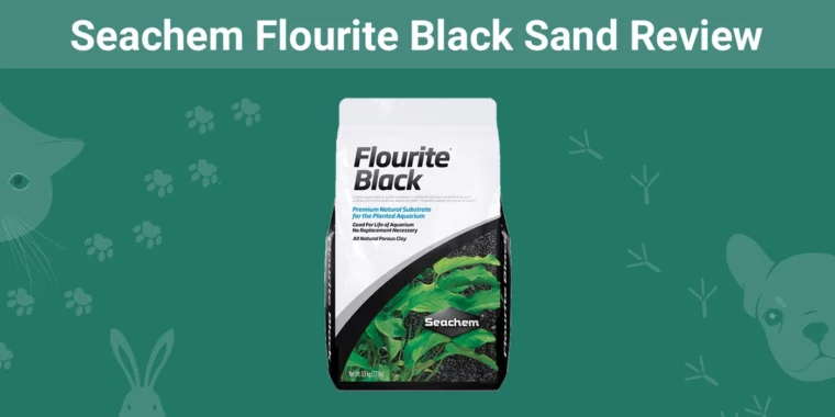 Seachem Flourite Black Sand — Избранное изображение