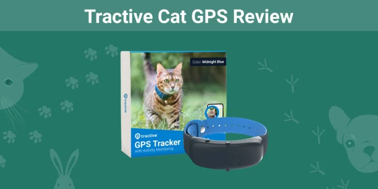 GPS-навигатор Tractive Cat — Избранное изображение