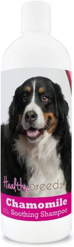 Успокаивающий шампунь для собак Healthy Breeds Bernese Mountain Dog с ромашкой