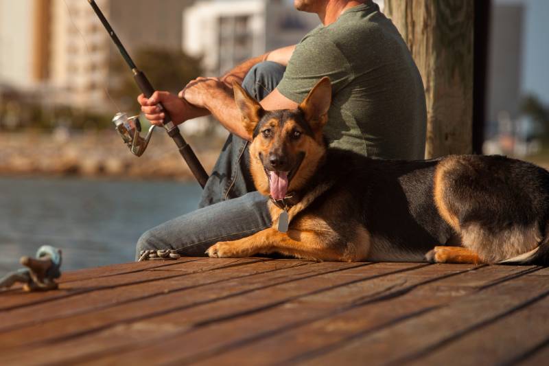 Read more about the article Как пойти на рыбалку с собакой: меры предосторожности и этикет