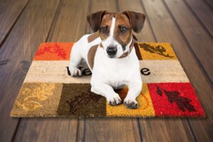 Read more about the article Дрессировка собак на коврике: обучение вашей собаки расслаблению на коврике