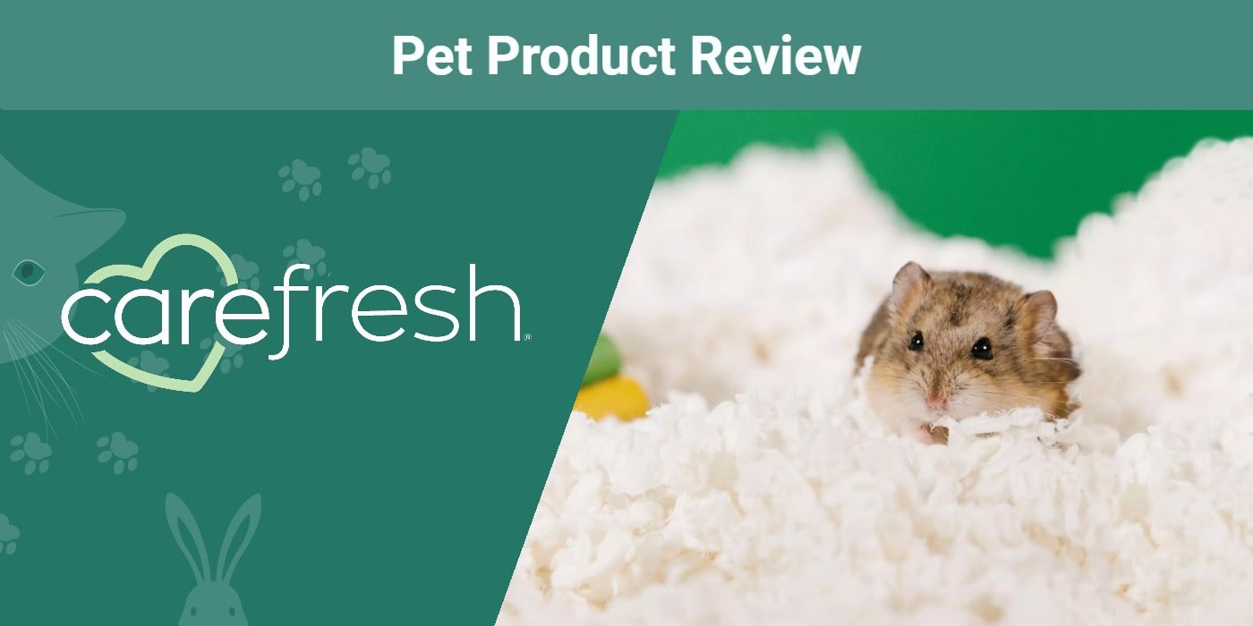 Read more about the article Carefresh® Small Pet Paper Bedding Review 2023: мнение нашего эксперта