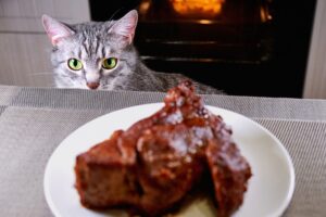 Read more about the article Можно ли кошкам есть стейк?  Вот что вы должны знать!