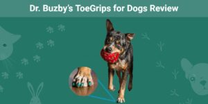 Read more about the article Обзор Dr. Buzby’s ToeGrips for Dogs 2023: мнение нашего эксперта