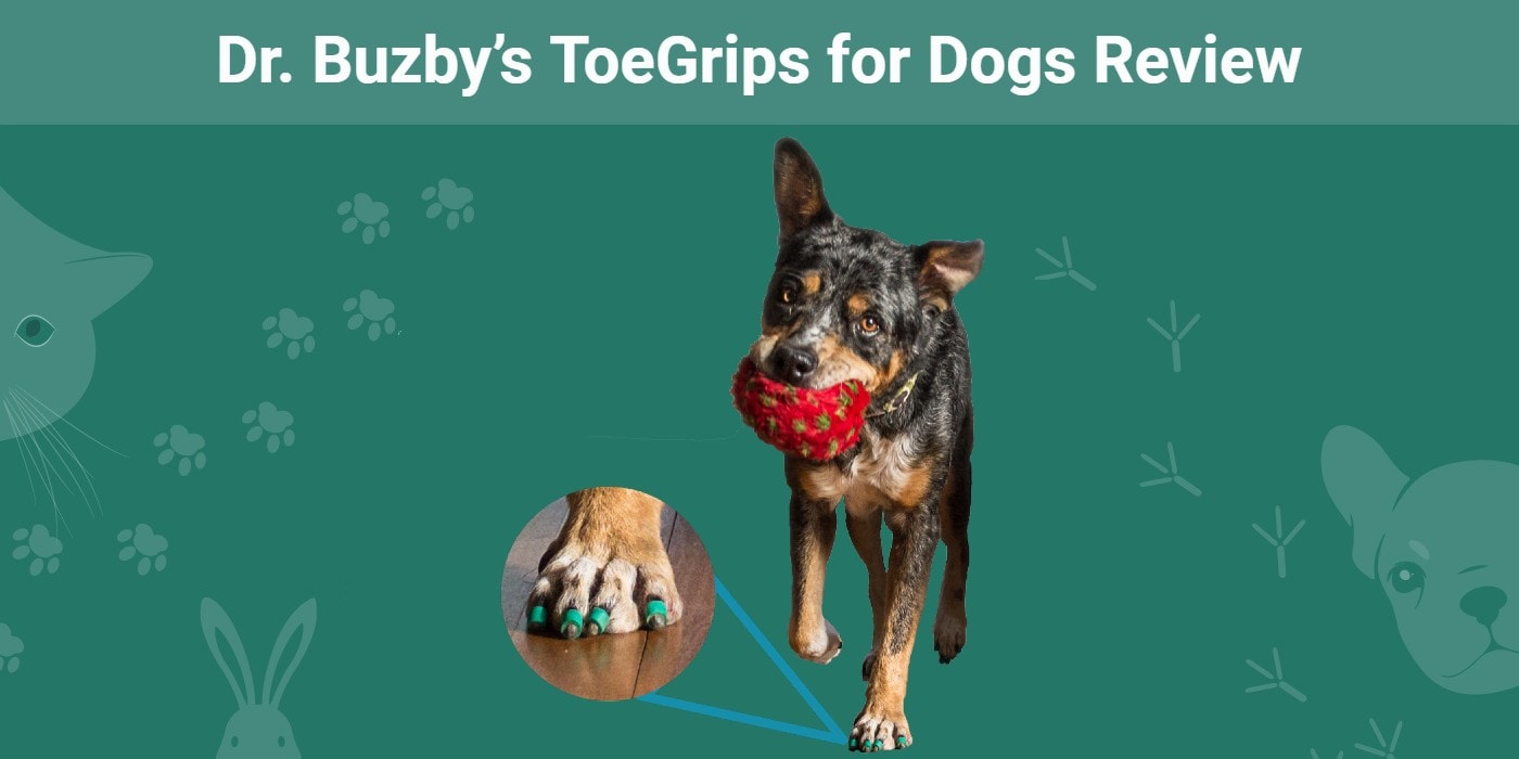 You are currently viewing Обзор Dr. Buzby’s ToeGrips for Dogs 2023: мнение нашего эксперта