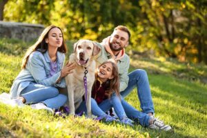 Read more about the article Разрешены ли собаки в Диснейленде?  (обновлено в 2023 г.)