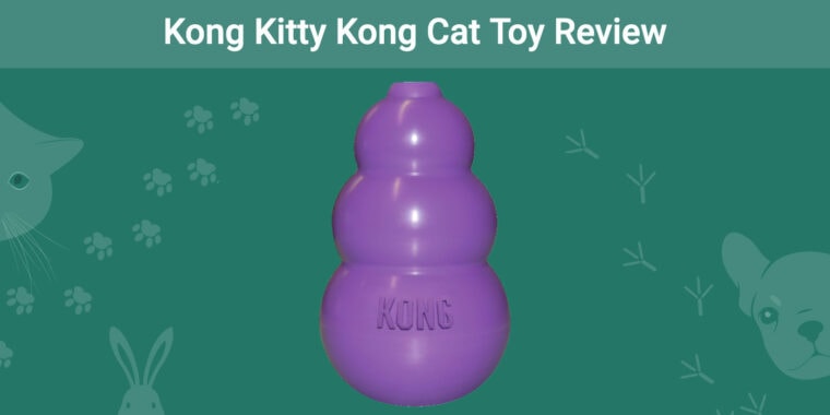 Kong Kitty Kong Cat Toy Review ft