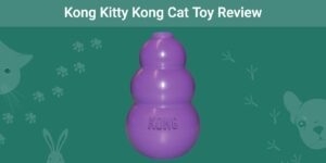 Read more about the article Kong Kitty Kong Cat Toy Review 2023: плюсы, минусы и вердикт