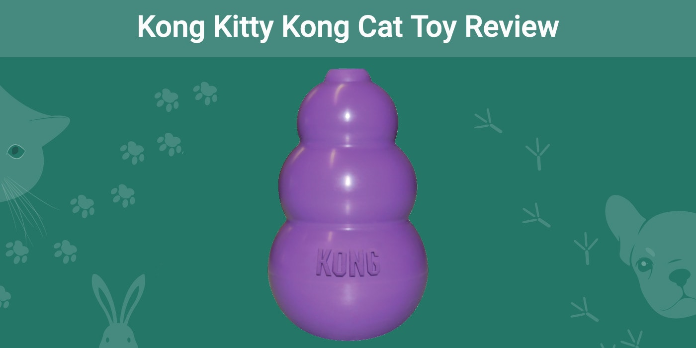 You are currently viewing Kong Kitty Kong Cat Toy Review 2023: плюсы, минусы и вердикт