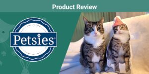 Read more about the article Petsies Custom Pet Pillow Review 2023: мнение нашего эксперта