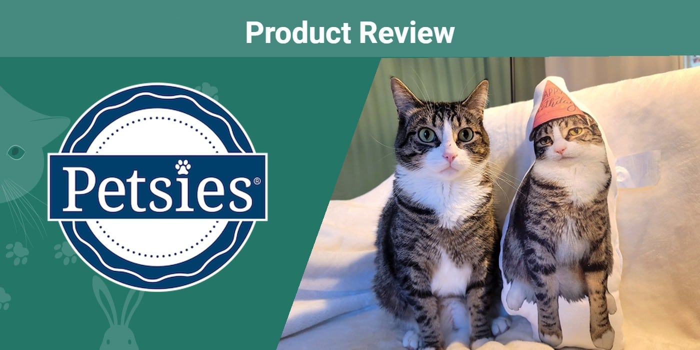 You are currently viewing Petsies Custom Pet Pillow Review 2023: мнение нашего эксперта