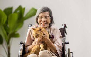 Read more about the article Могут ли домашние животные помочь людям с деменцией или болезнью Альцгеймера?  Удивительный ответ