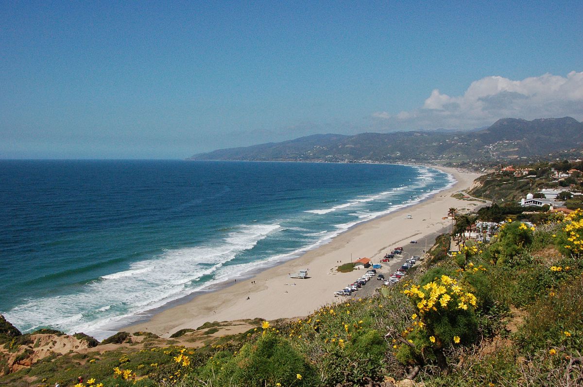 You are currently viewing Zuma Beach подходит для собак?  Вот что вам нужно знать!