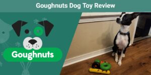 Read more about the article Goughnuts Dog Toy Review 2023: это хорошая цена?