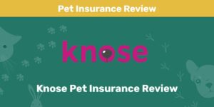 Read more about the article Knose Pet Insurance Review 2023: плюсы, минусы, часто задаваемые вопросы и вердикт