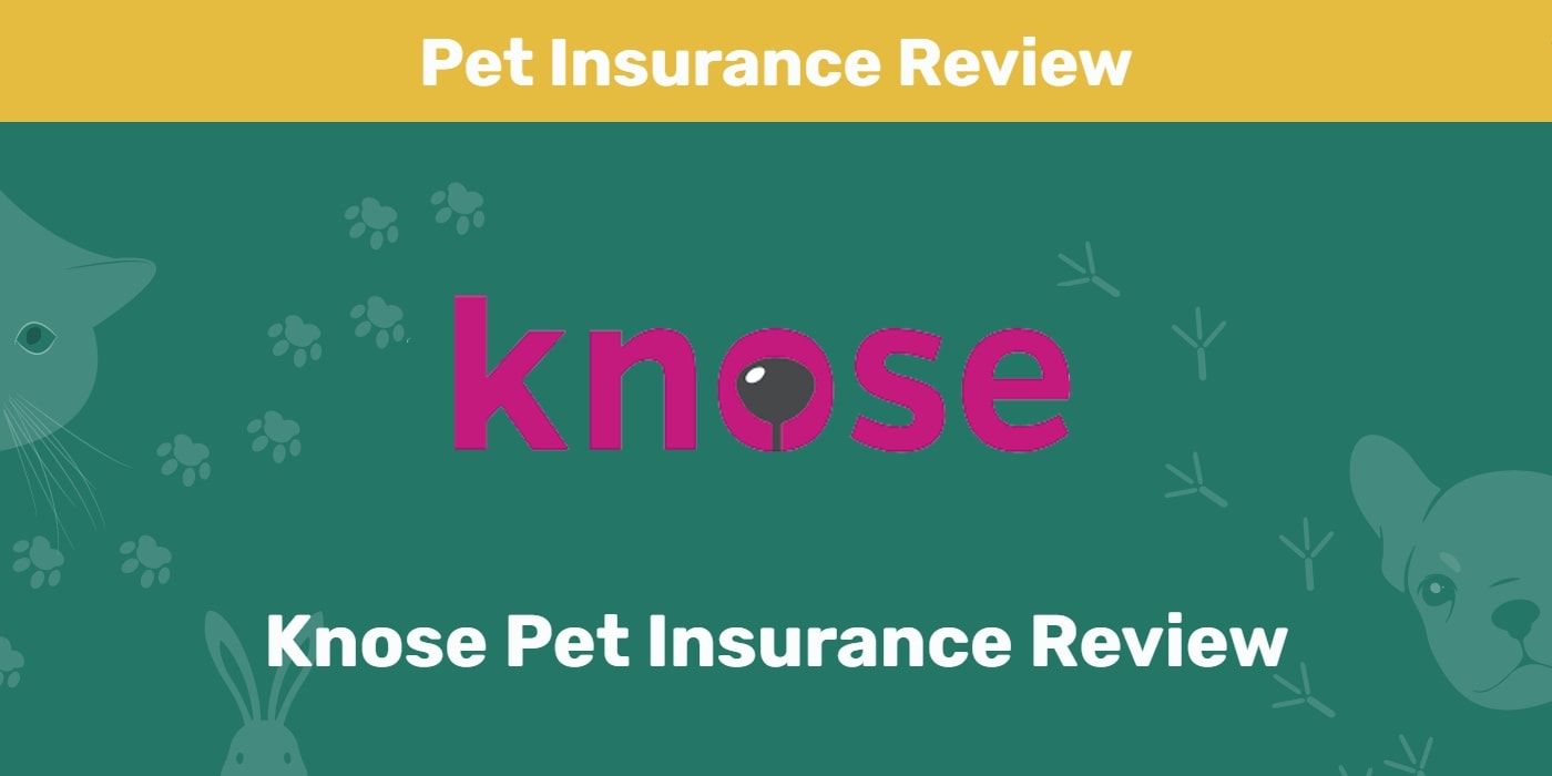 You are currently viewing Knose Pet Insurance Review 2023: плюсы, минусы, часто задаваемые вопросы и вердикт