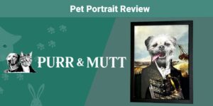 Read more about the article Purr & Mutt Pet Portrait Review 2023: мнение нашего эксперта