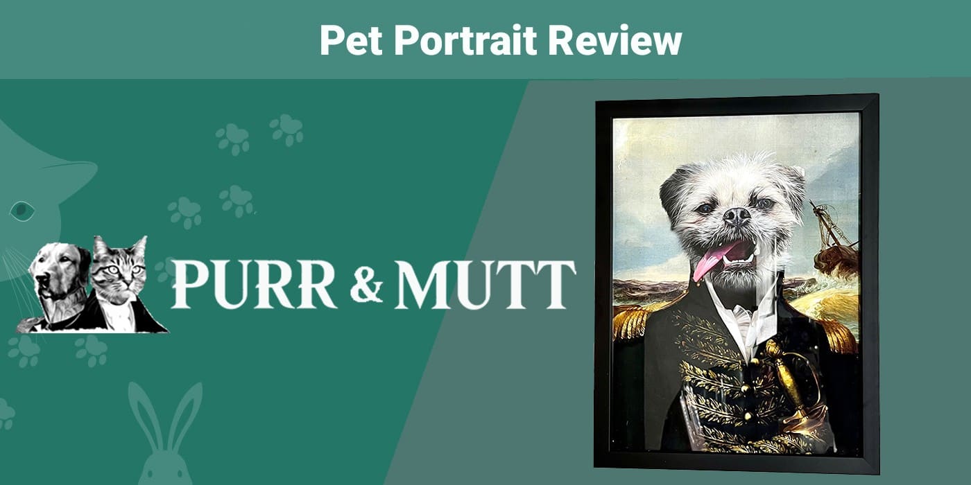 You are currently viewing Purr & Mutt Pet Portrait Review 2023: мнение нашего эксперта