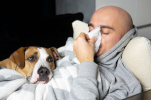 Read more about the article Знают ли собаки, когда вы больны?  Интересный ответ!