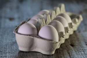 Read more about the article Можно ли высидеть купленное в магазине яйцо?  Есть ли внутри курица?