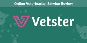 Read more about the article Обзор ветеринарного онлайн-сервиса Vetster 2023: мнение нашего эксперта