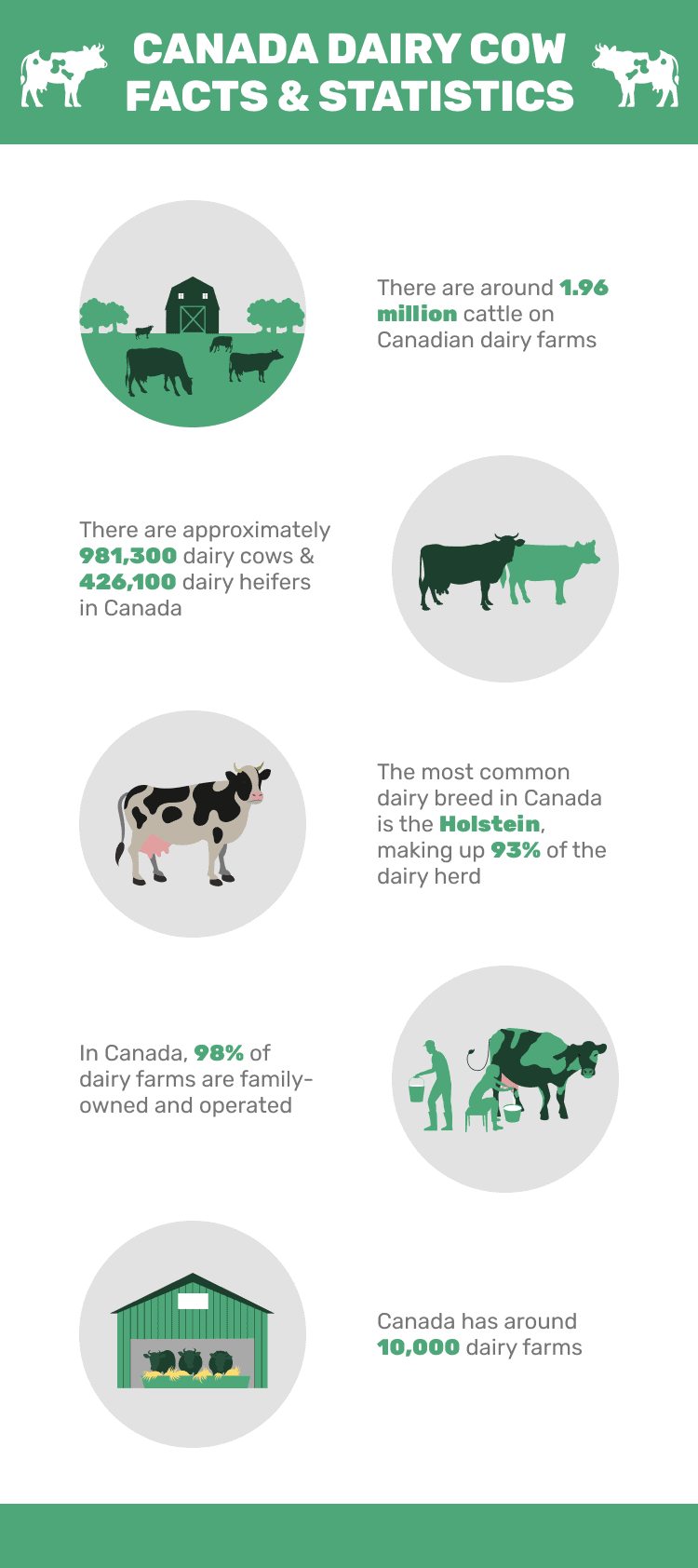 КАНАДА_DAIRY_COW_FACTS_&_STATISTICS