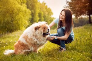 Read more about the article Когда собака считается взрослой?  Одобренные ветеринаром факты и часто задаваемые вопросы