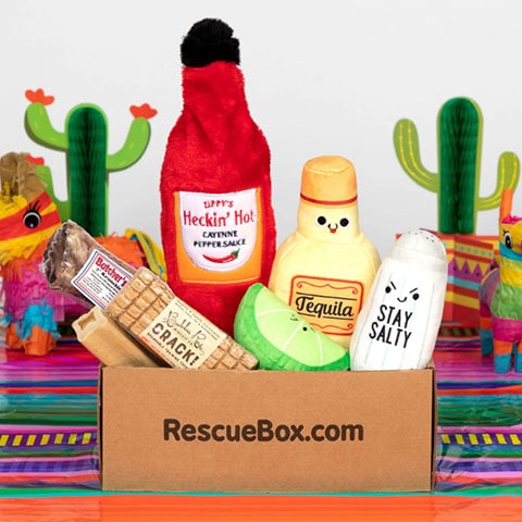 RescueBox