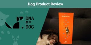 Read more about the article Обзор теста DNA My Dog Breed ID Test 2023: Хорошая ли это цена?