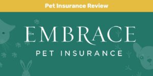 Read more about the article Embrace Pet Health Insurance Review 2023: плюсы, минусы и вердикт