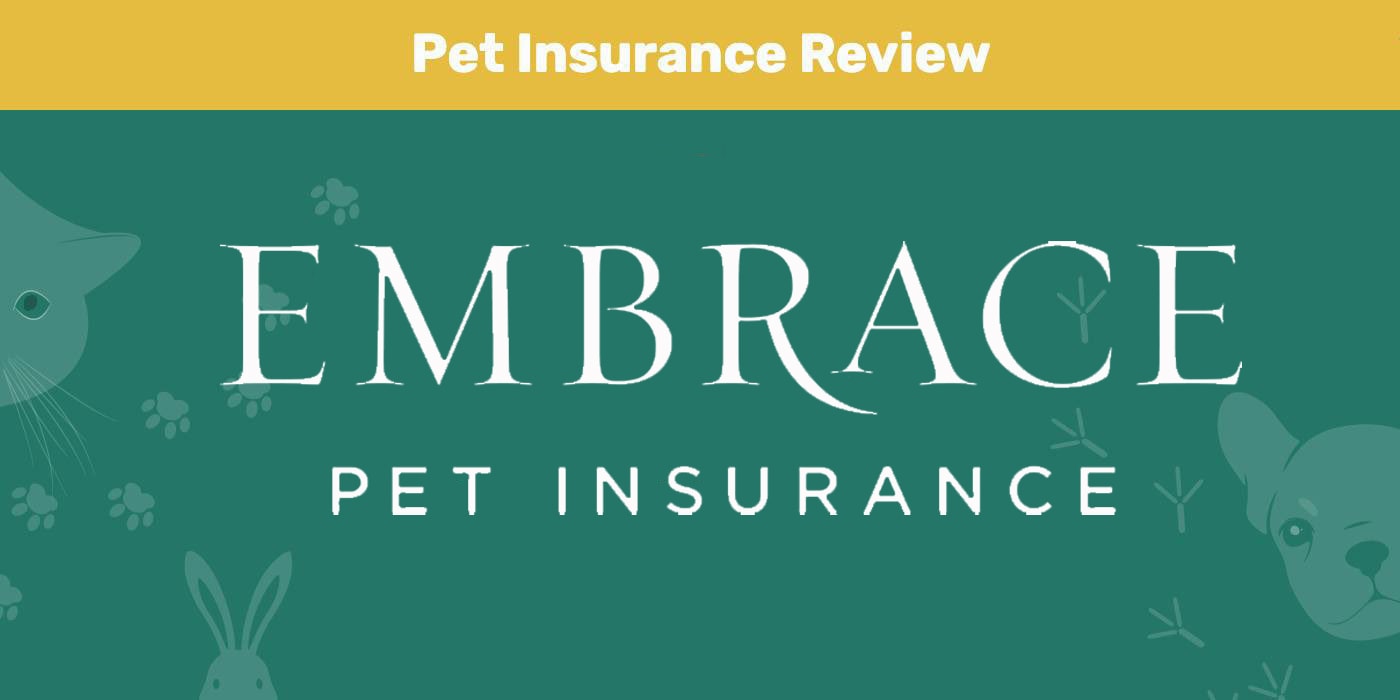 You are currently viewing Embrace Pet Health Insurance Review 2023: плюсы, минусы и вердикт