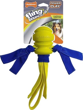 Nylabone POWER PLAY Интерактивные игрушки для ловли собак