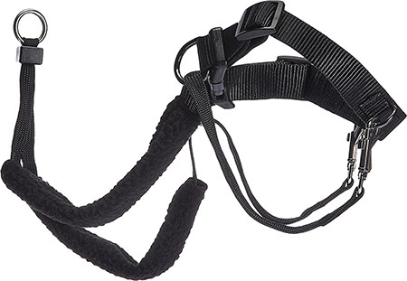 Spron Original Training Dog Halter