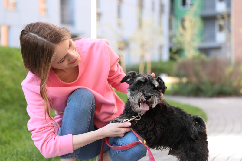 Read more about the article Моя собака съела вазелин: когда стоит волноваться и одобренный ветеринаром совет