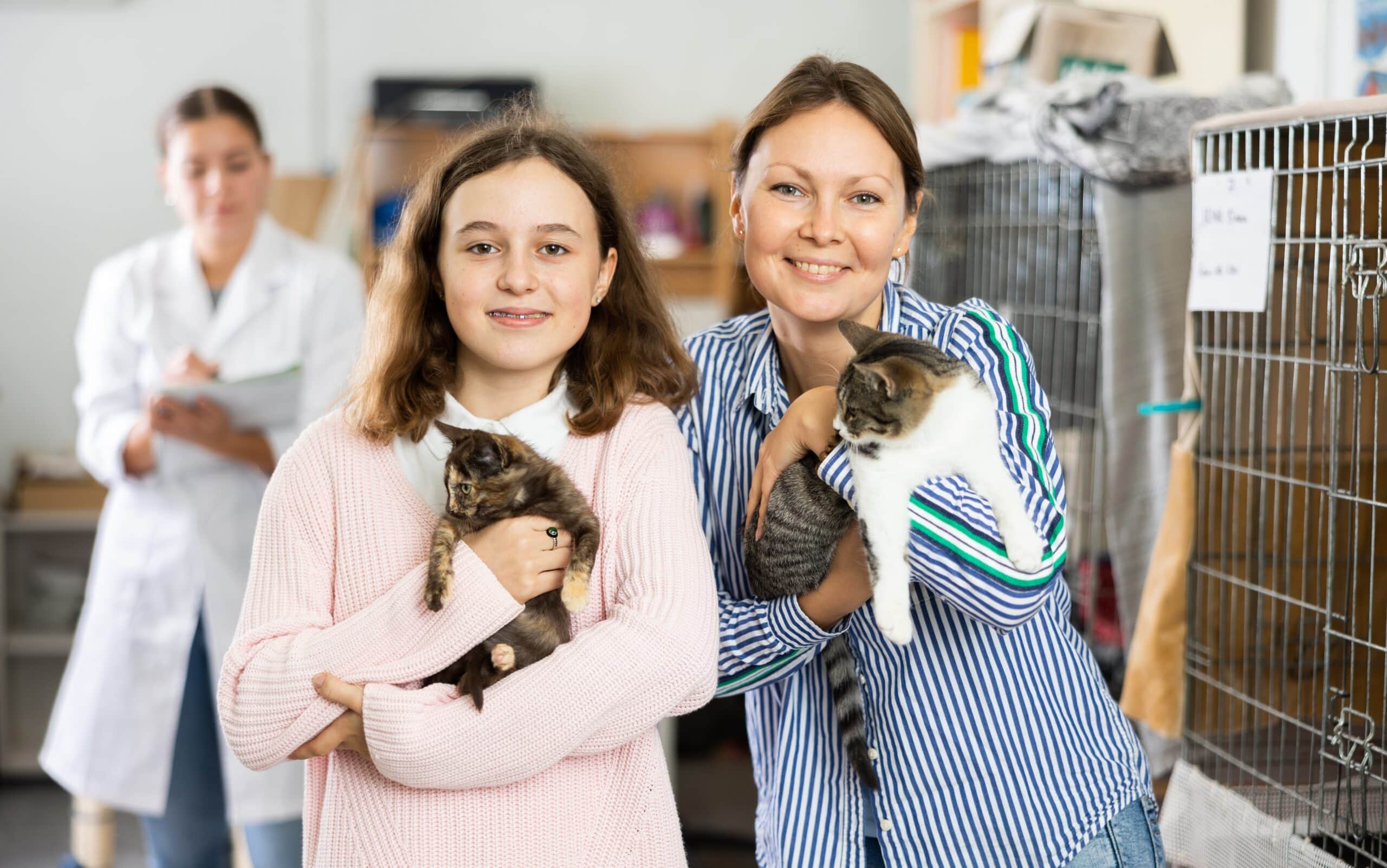 Девушка и женщина - владельцы кошек, держащие кошек в приюте, чтобы усыновить их